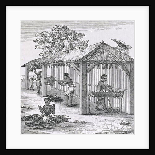 Preparing Tobacco by English School