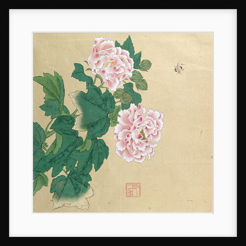 Bee and peony by Ichimiosai by Anonymous