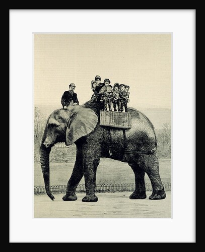 A Farewell Ride on Jumbo by English School