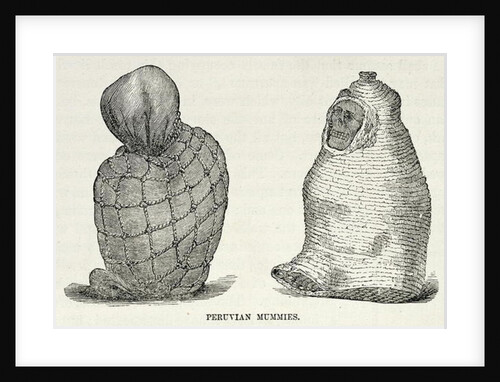 Peruvian Mummies by English School