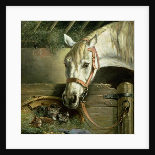 Horse and kittens, 1890 by Moritz Muller