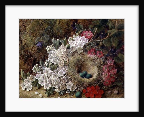 A bird's nest and blossom on a mossy bank by George Clare