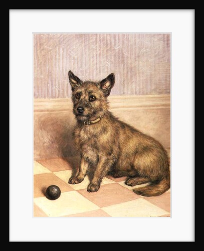 Waiting to Play, a Cairn terrier with a ball by Frank Paton