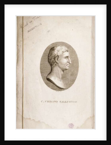 Portrait of Gaius Crispus Sallust engraved by Antonio Verico by Italian School