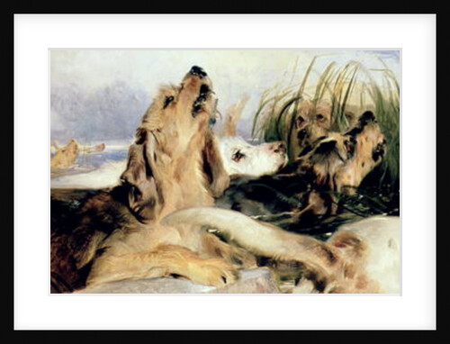 Otter Hounds by Edwin Landseer