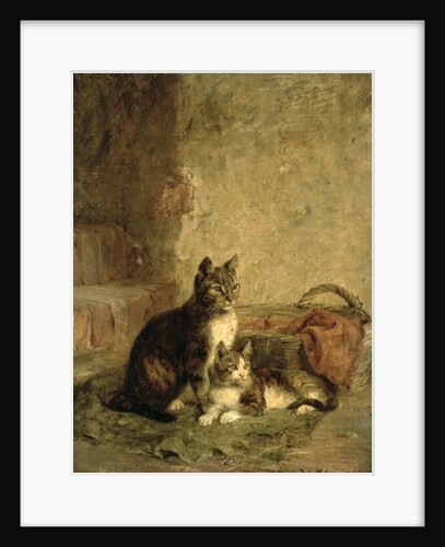 Cats, 1883 by Julius Adam