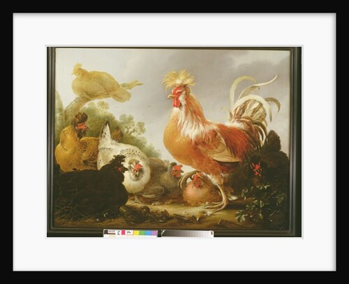 Cockerel and hens in a landscape, 1649 by Gysbert Hondecoeter