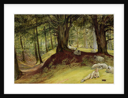 Parkhurst Woods, Abinger, Surrey by Richard Redgrave