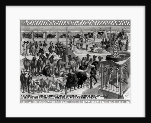 Poster advertising, 'The Barnum and Bailey Greatest Show on Earth, the World's Grandest, Largest, Best Amusement Institution', c.1895 by American School