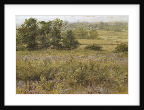 The Furze Field, 19th century by Samuel Palmer