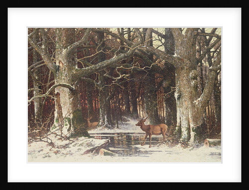 Deer in the Forest, 19th century by G. Schneyder