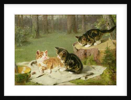 Kittens Playing by Ewald Honnef