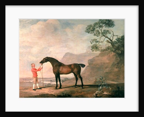 Scapeflood by George Stubbs