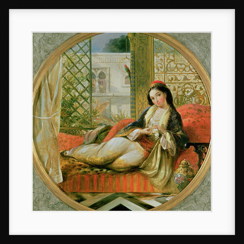 In the Harem by Anonymous Anonymous