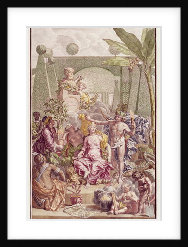 Frontispiece of 'Hortus Cliffortianus' by Carl Linnaeus by Jan Wandelaar