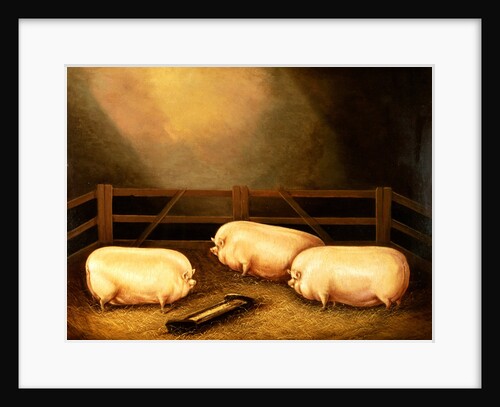 Three Prize Pigs outside a Sty by English School