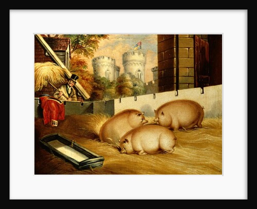 Three Pigs with Castle in the Background by English School