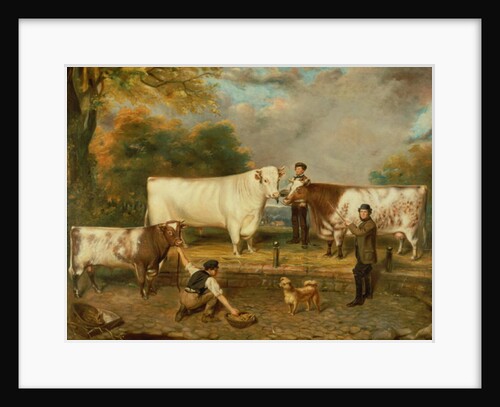 Cows with a herdsman by English School