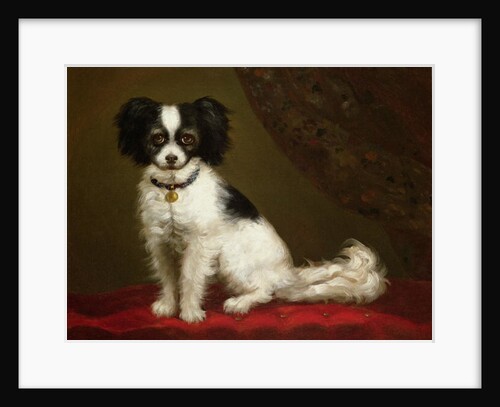 Portrait of a Spaniel by Anonymous Anonymous