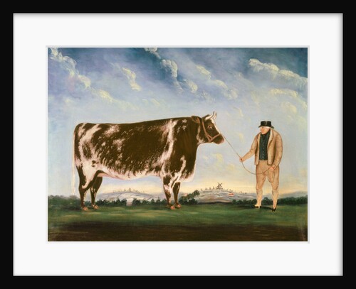 Study of a Shorthorn by William Joseph Shayer