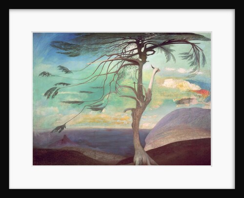 The Solitary Cedar, 1907 by Tivador Csontvary Kosztka
