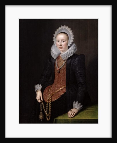 Portrait of a Lady aged 29, 1615 by Michiel Jansz. van Miereveld