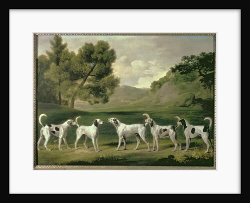 Foxhounds in a landscape, 1762 by George Stubbs
