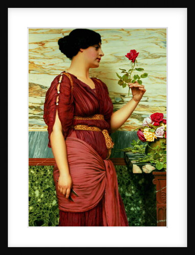 A Red, Red Rose, 1920 by John William Godward