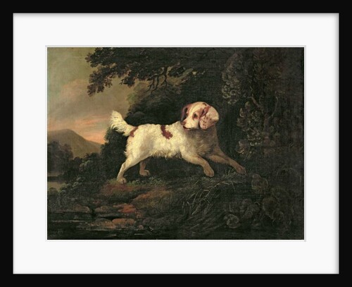 Study of Clumber Spaniel in Wooded River Landscape by Edward Cooper