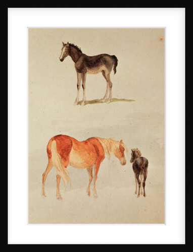 Mares and foals by Anonymous Anonymous