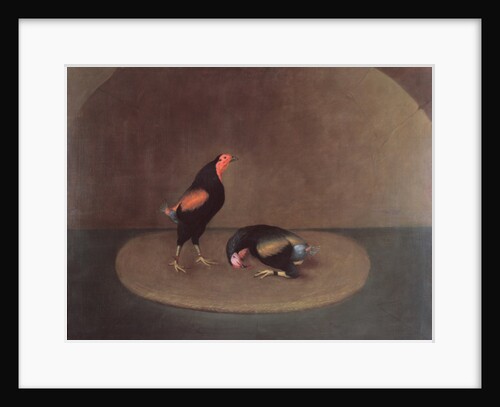 Cockfighters by J. Francis Sartorius