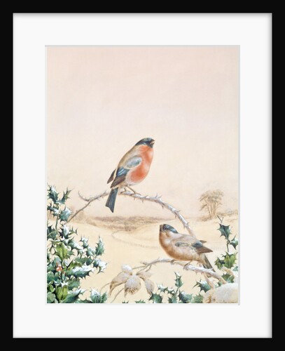 Winter scene with Chaffinch and Holly by Henry Bright