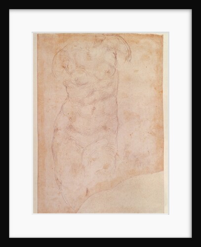 Study of a Female Nude by Michelangelo Buonarroti