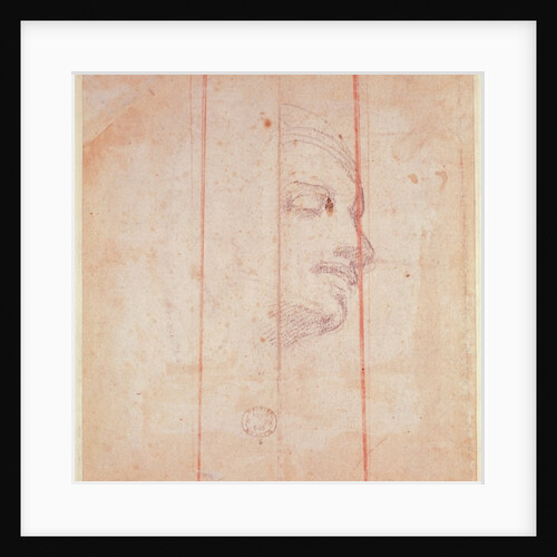 Study for the Head of the Libyan Sibyl by Michelangelo Buonarroti