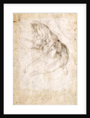 Study for The Creation of Adam by Michelangelo Buonarroti
