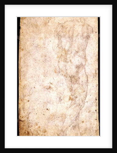 Study of a Male Nude by Michelangelo Buonarroti