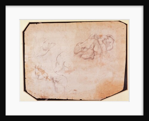 Study of Muscles by Michelangelo Buonarroti