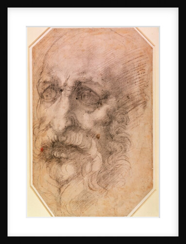 Portrait of a Bearded Man by Michelangelo Buonarroti
