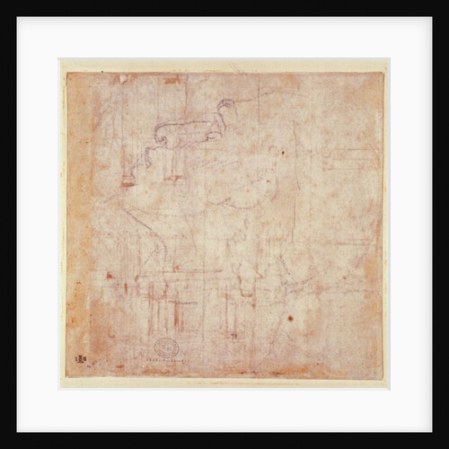 Study of a Head, 1525-26 by Michelangelo Buonarroti