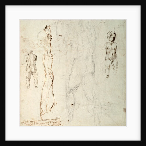 Study of the Christ Child and an Anatomical Drawing with Notes by Michelangelo Buonarroti