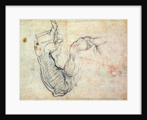 Preparatory Study for the Arm of Christ in the Last Judgement, 1535-41 by Michelangelo Buonarroti
