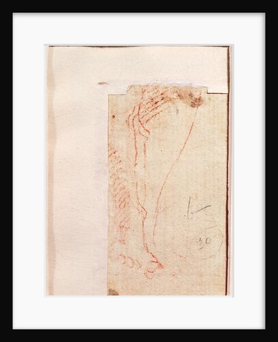 Study of Christ's feet nailed to the Cross by Michelangelo Buonarroti