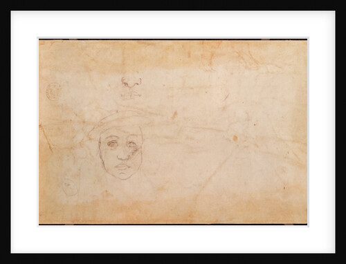 Study of a male head by Michelangelo Buonarroti