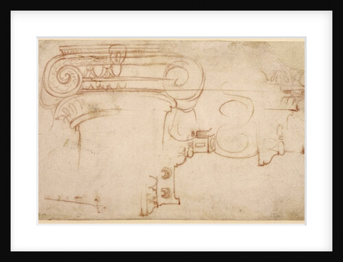 Study of an Ionic capital by Michelangelo Buonarroti