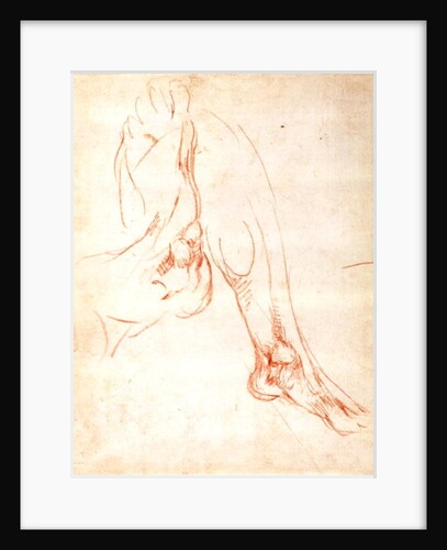 Study of a lower leg and foot by Michelangelo Buonarroti