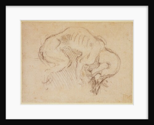 Study of a dog by Michelangelo Buonarroti