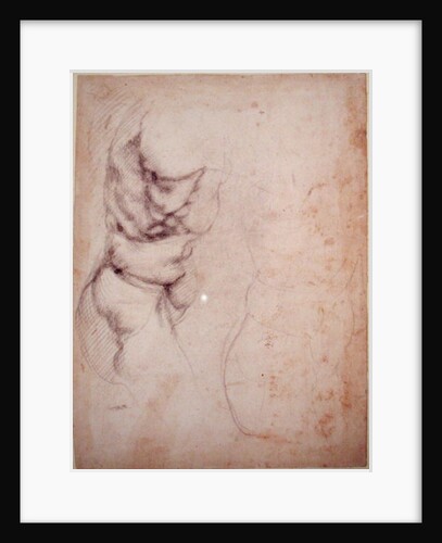 Study of torso and buttock by Michelangelo Buonarroti