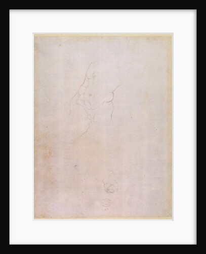 Study of a male torso by Michelangelo Buonarroti
