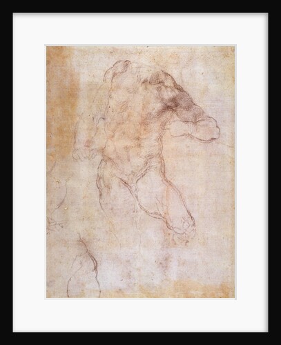 Study of a male nude by Michelangelo Buonarroti