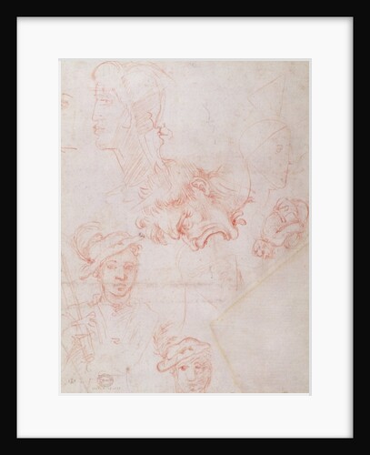 Studies of heads, 1508-12d by Michelangelo Buonarroti